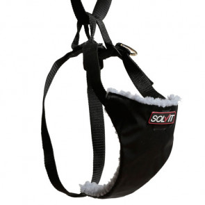 Economy Car Safety Harness