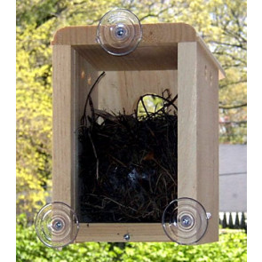 Window Nesting Box