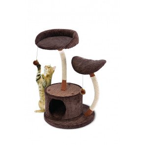 Two Level Lounge Activity Center with Retreat Hide Away