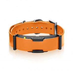 Dogtra ARC Extra Additional Collar