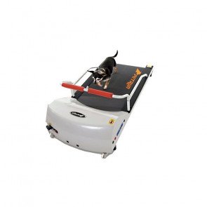 GoPet Treadmill for Dogs Up to 44 Pounds