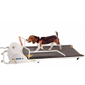 GoPet Treadmill for Dogs Up to 132 Pounds