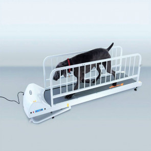 GoPet Treadmill for Dogs Up to 175 Pounds