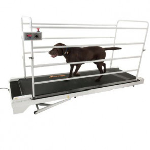 GoPet Treadmill for Dogs Up to 265 Pounds