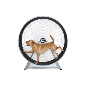GoPet Treadwheel for Dogs Up to 150 Pounds