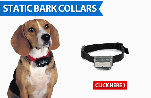 static bark collars