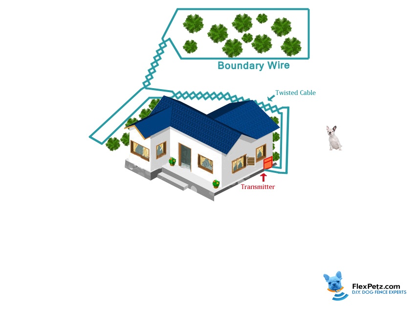 avoidance only dog fence layout
