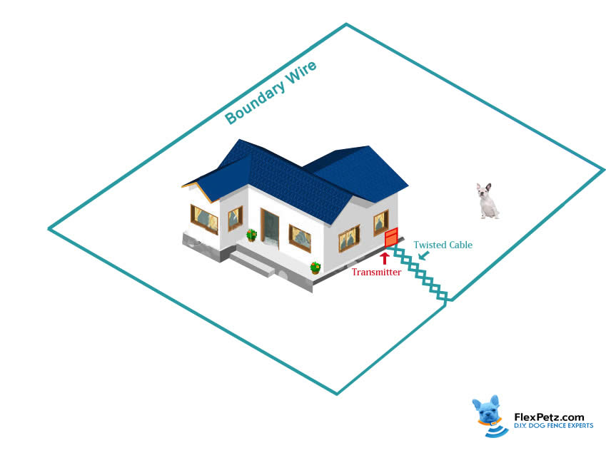 Dog Fence Front & Back Layout